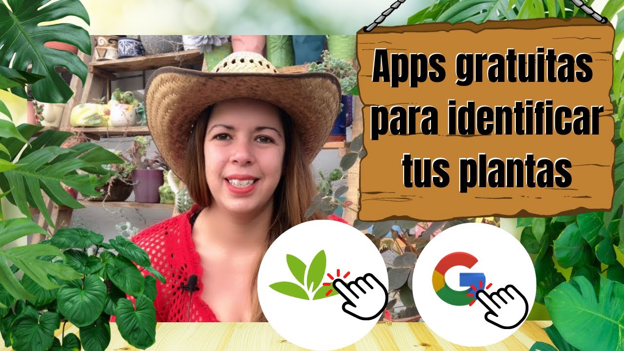 app para identificar enfermedades en plantas ornamentales gratis