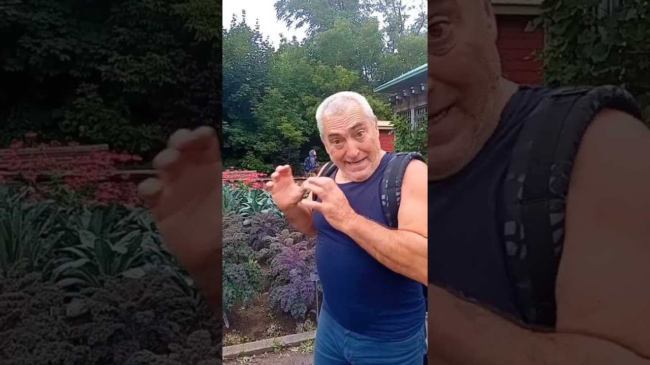 brócoli y coliflor son la misma planta