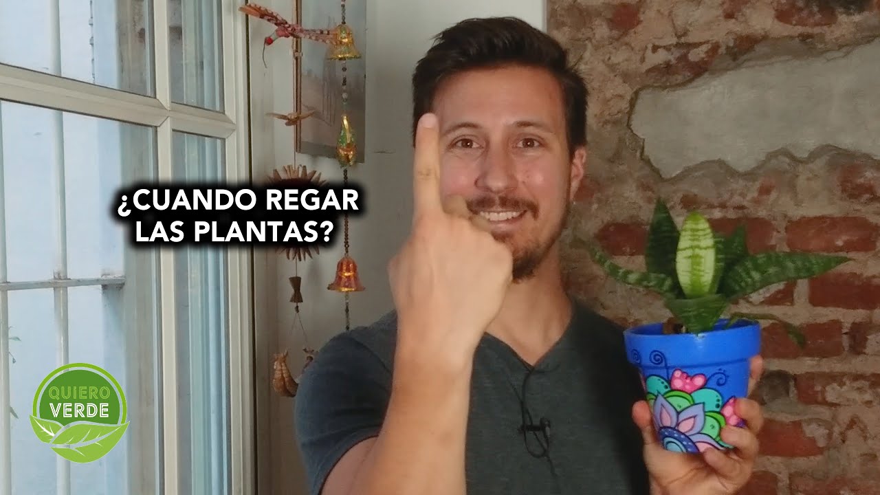 cada cuanto regar las plantas de exterior