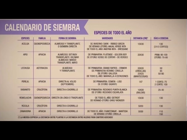 calendario de siembras ordenado por fechas