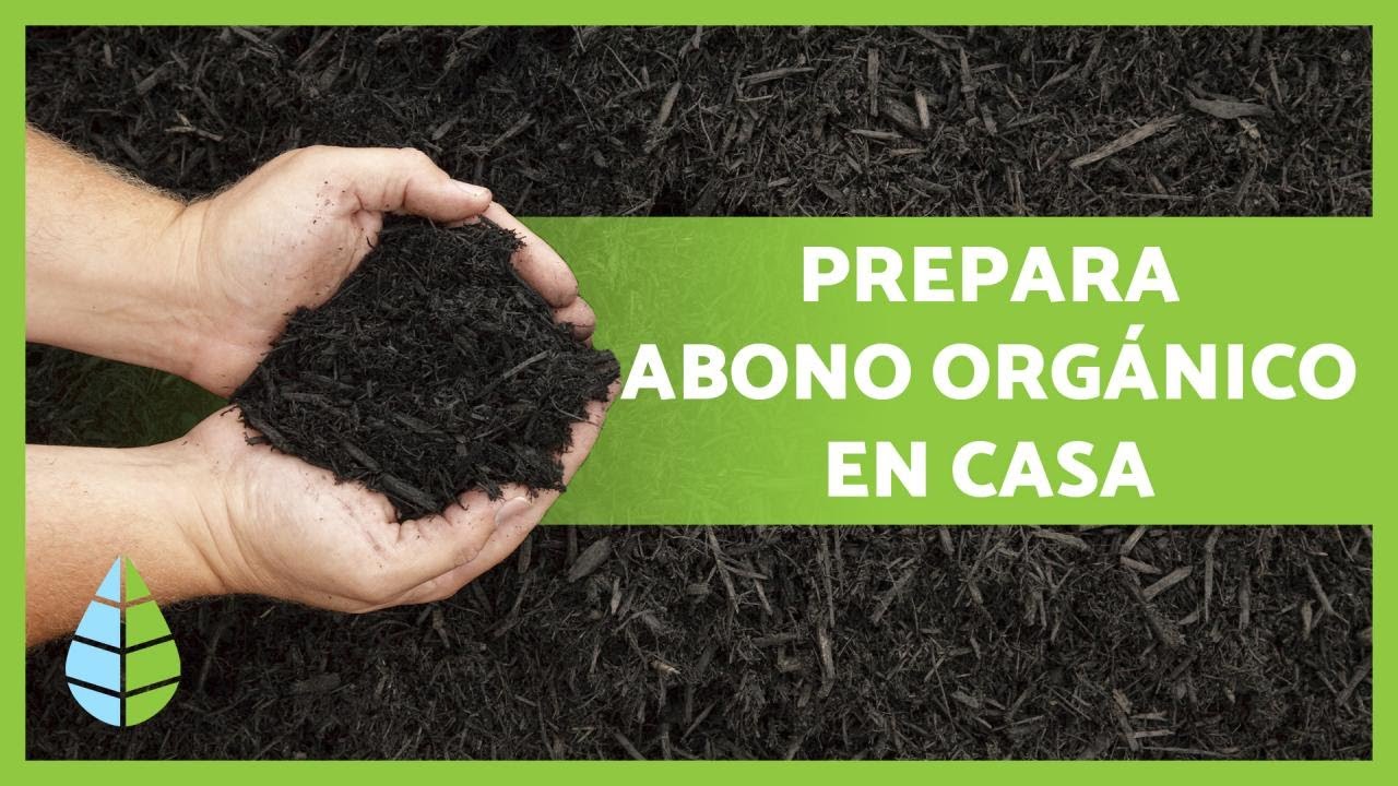 como hacer abono casero para plantas
