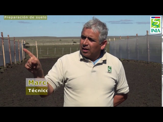 como preparar la tierra para sembrar patatas