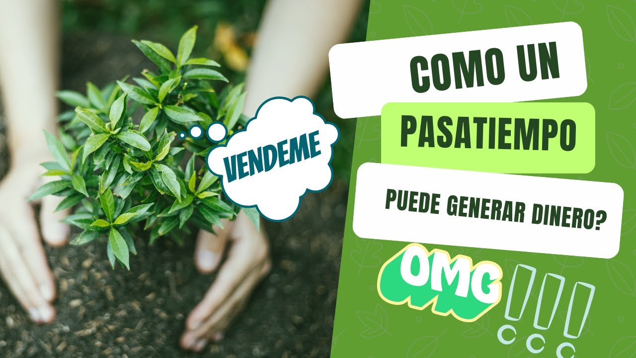 como se llama donde venden plantas y flores