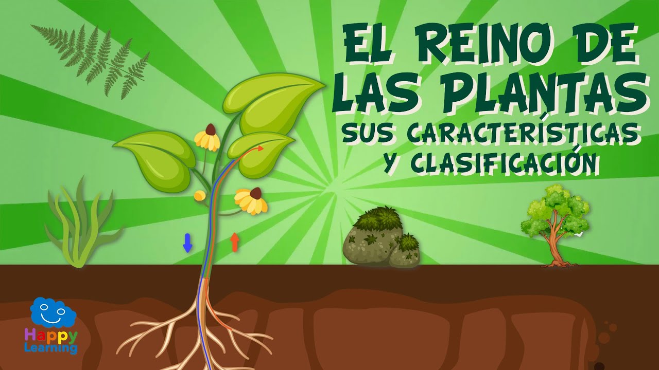 conjunto de ramas de las plantas