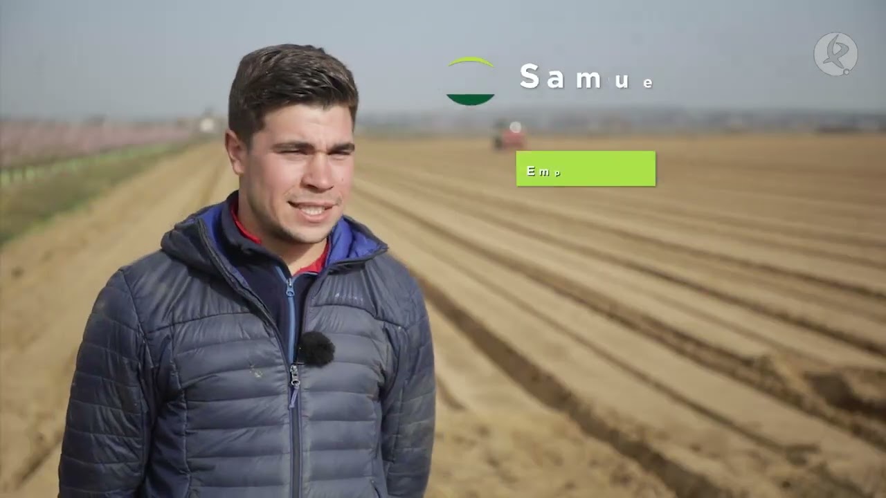 cuando se siembran las patatas en extremadura