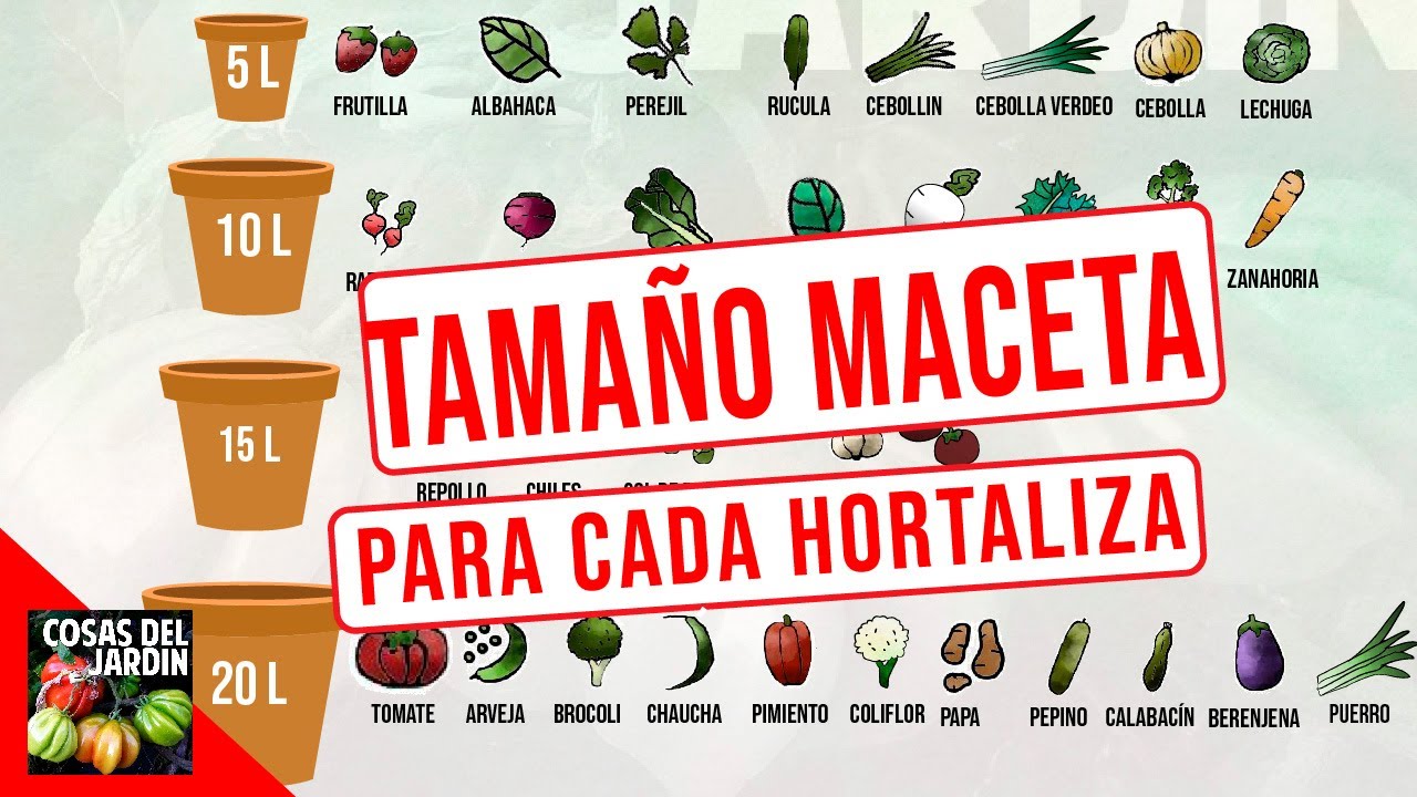 cuanto crece una planta en maceta de 7 litros