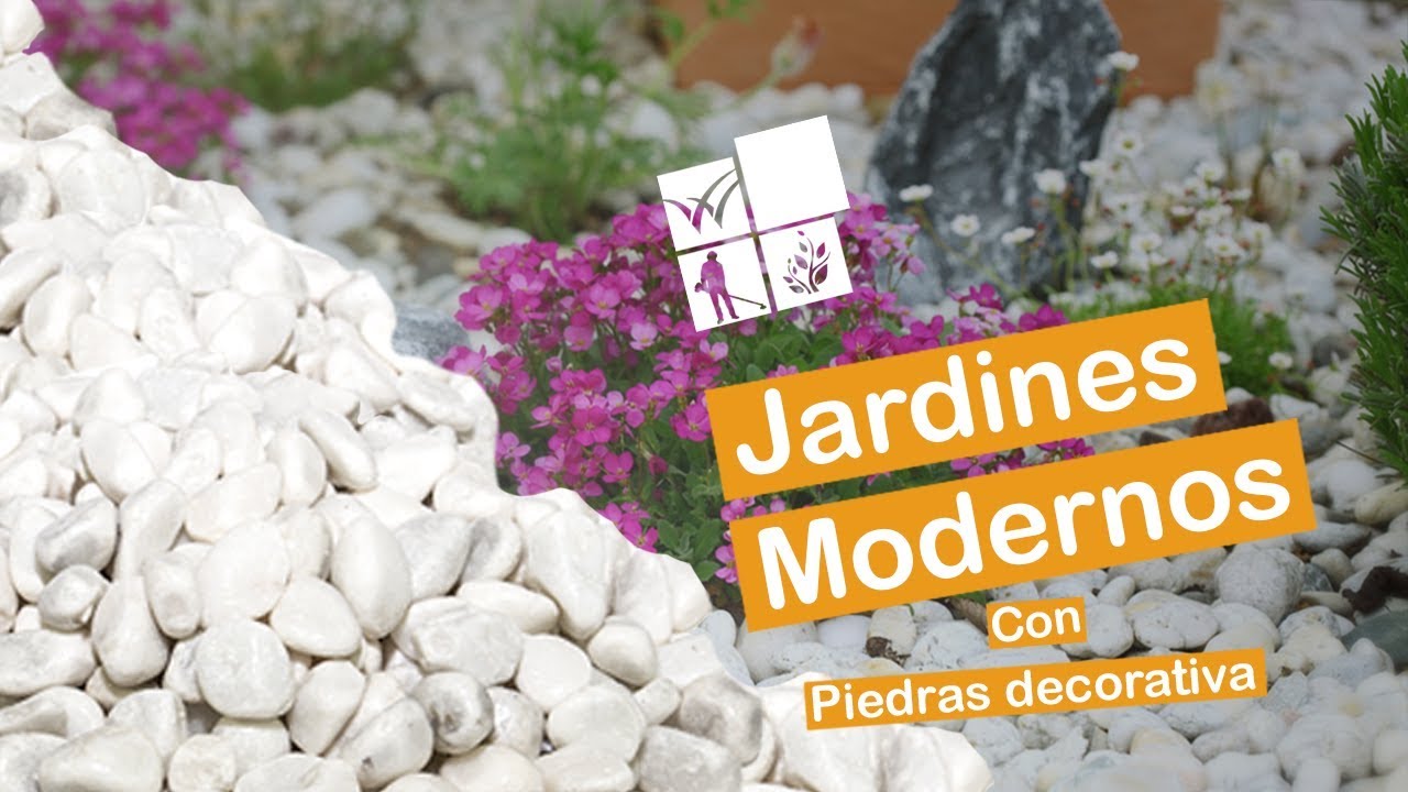 decoración de jardines con piedras y plantas