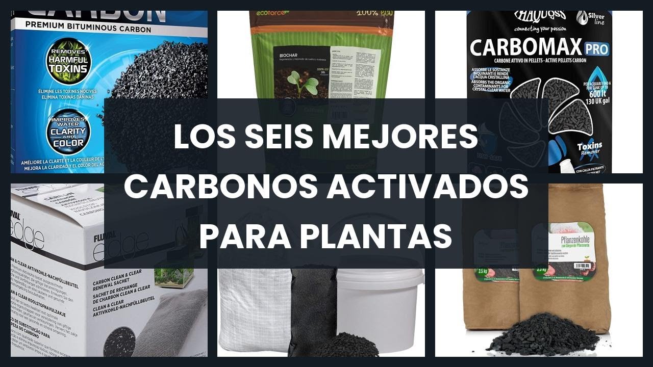 donde comprar carbón activado para plantas