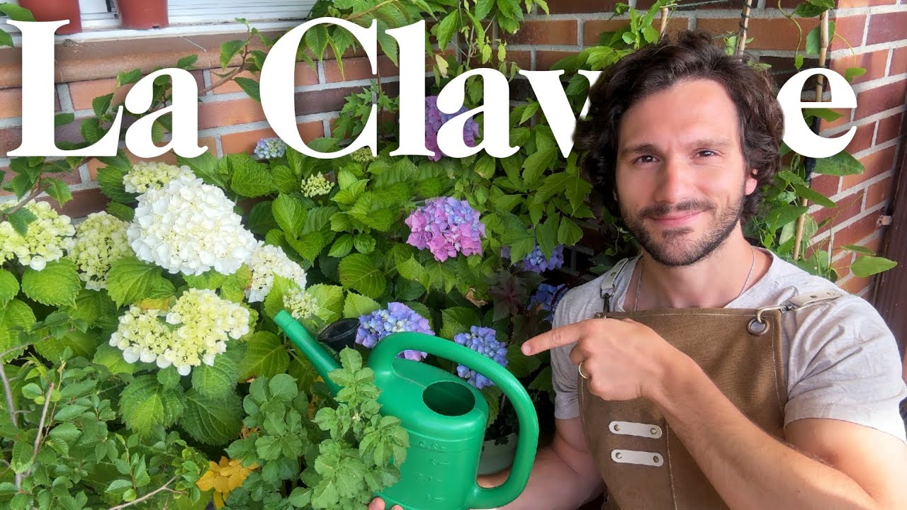 el jazmín es una planta acidófila