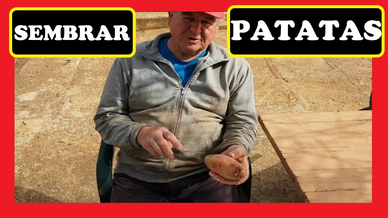 en que luna se plantan las patatas