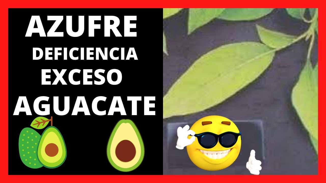 exceso de azufre en las plantas