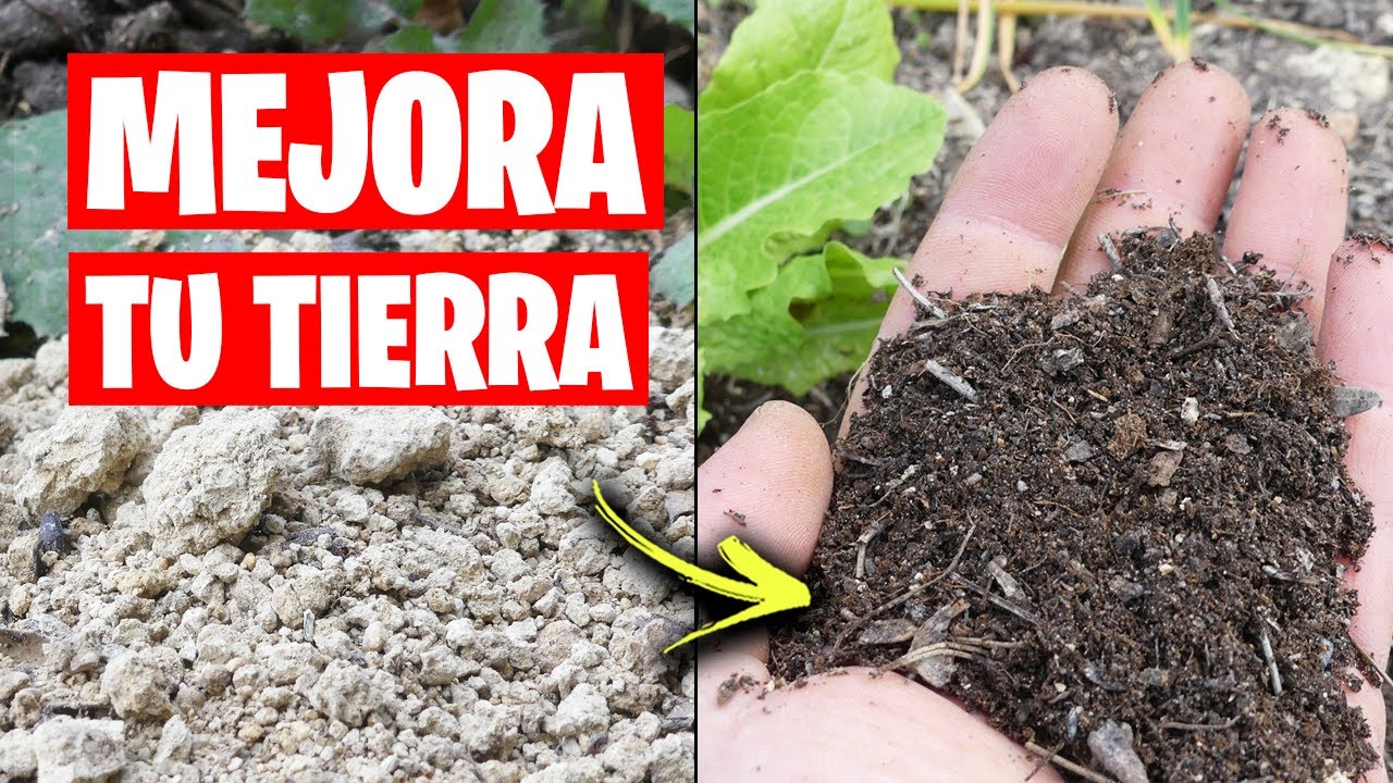 fertilizar la tierra para el sembrado