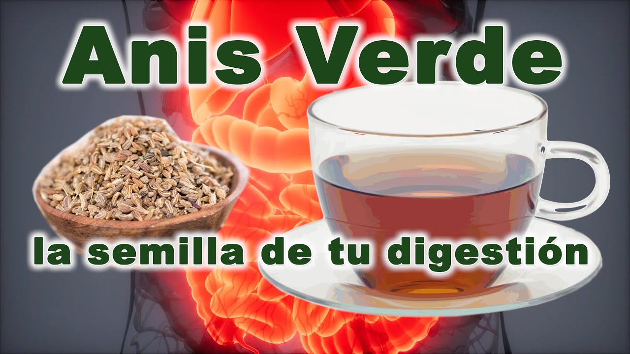 infusión de semillas de anís verde