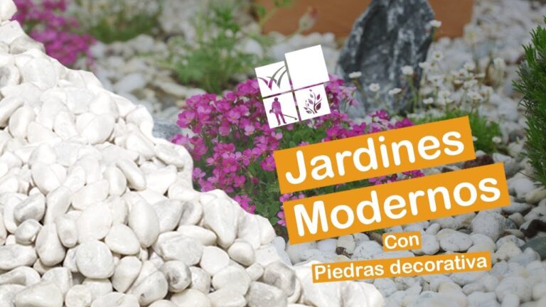 C mo Dise ar Jardines Con Piedras Blancas Y Plantas Ideas Y Consejos c-mo-dise-ar-jardines-con-piedras-blancas-y-plantas-ideas-y-consejos