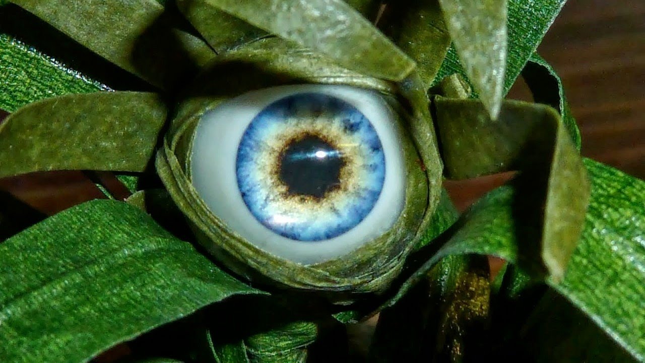 las plantas más raras del mundo