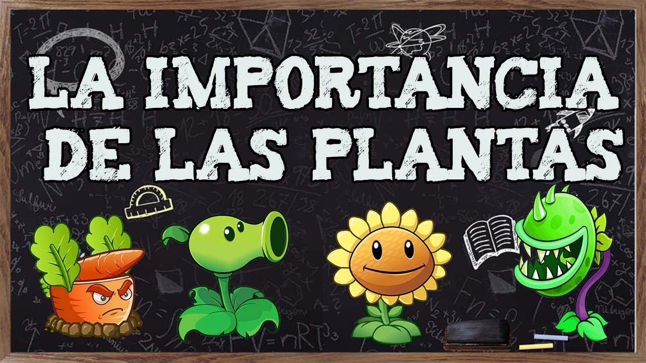 para qué son importantes las plantas