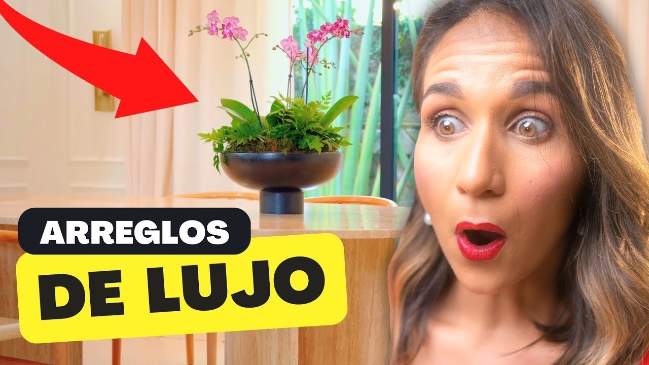 plantas para centro de mesa de comedor