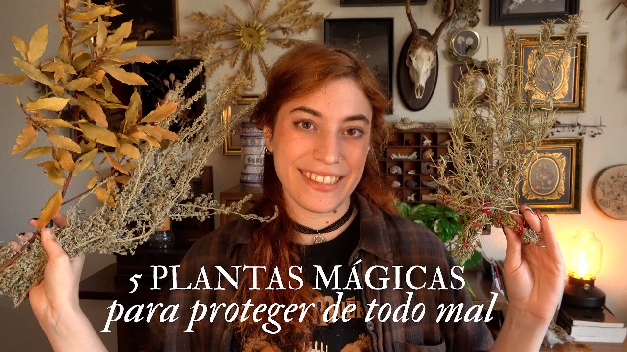plantas para el mal de ojo