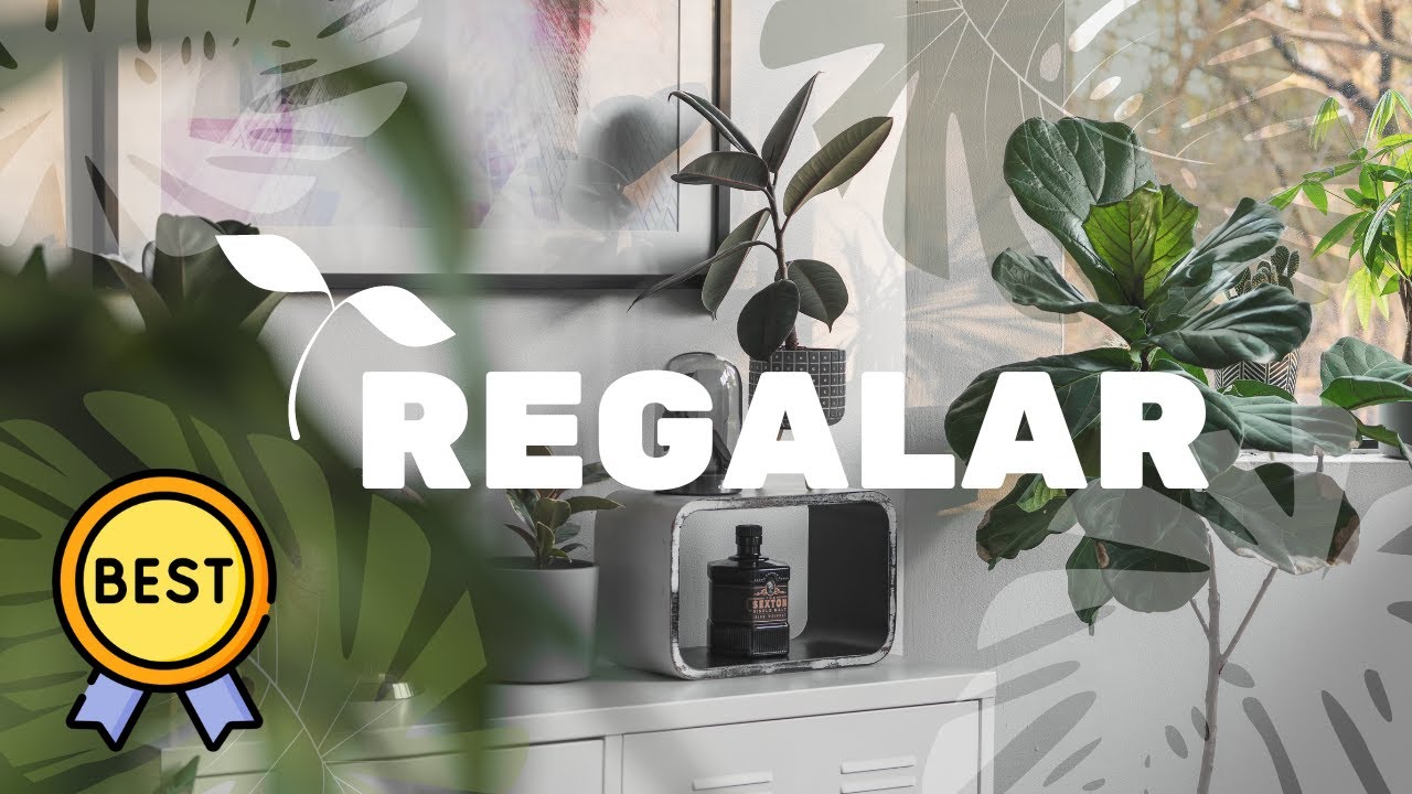 plantas para regalar a una amiga