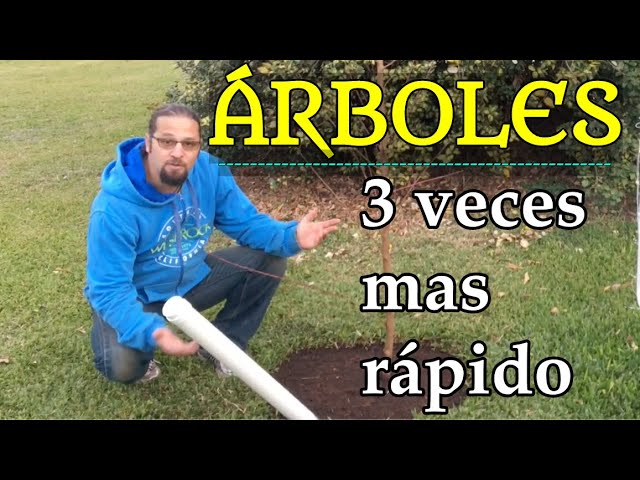 puedo plantar un arbol donde quiera