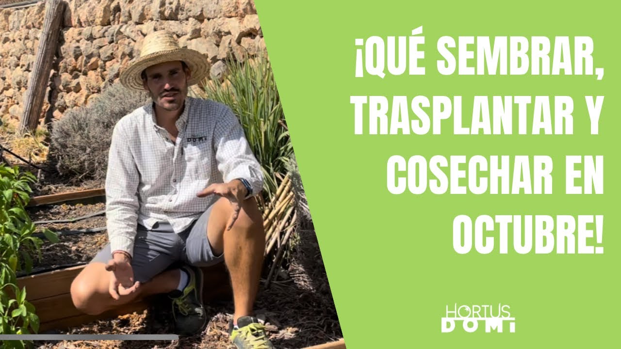 que plantar en octubre en cataluña
