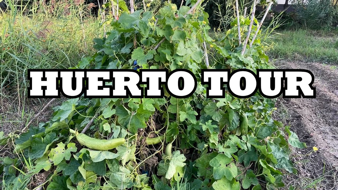 que plantar en octubre en murcia