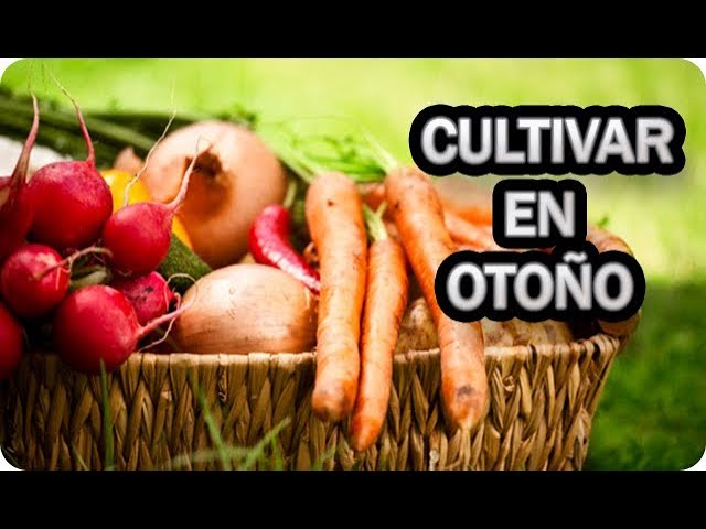 que se puede plantar en otoño