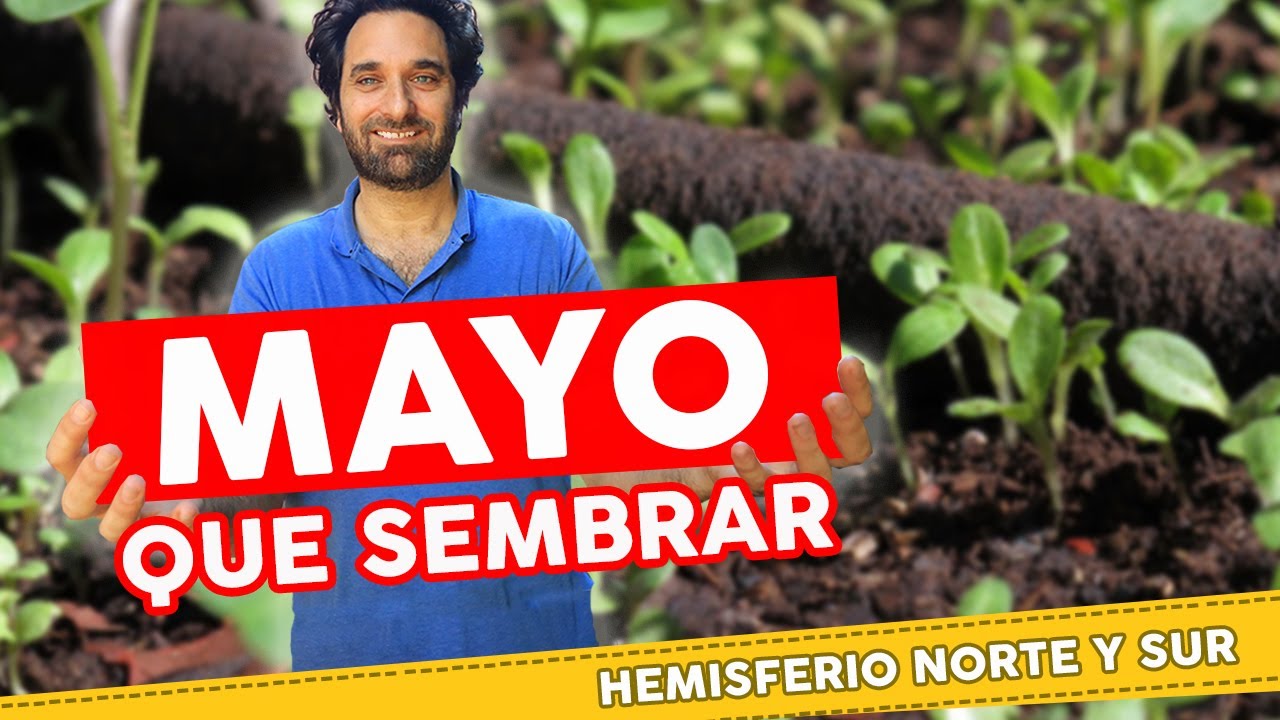 que se puede sembrar en mayo