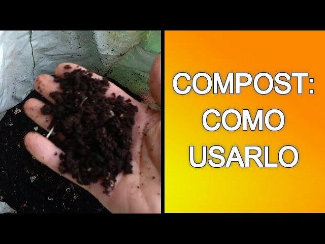 se puede plantar directamente en compost