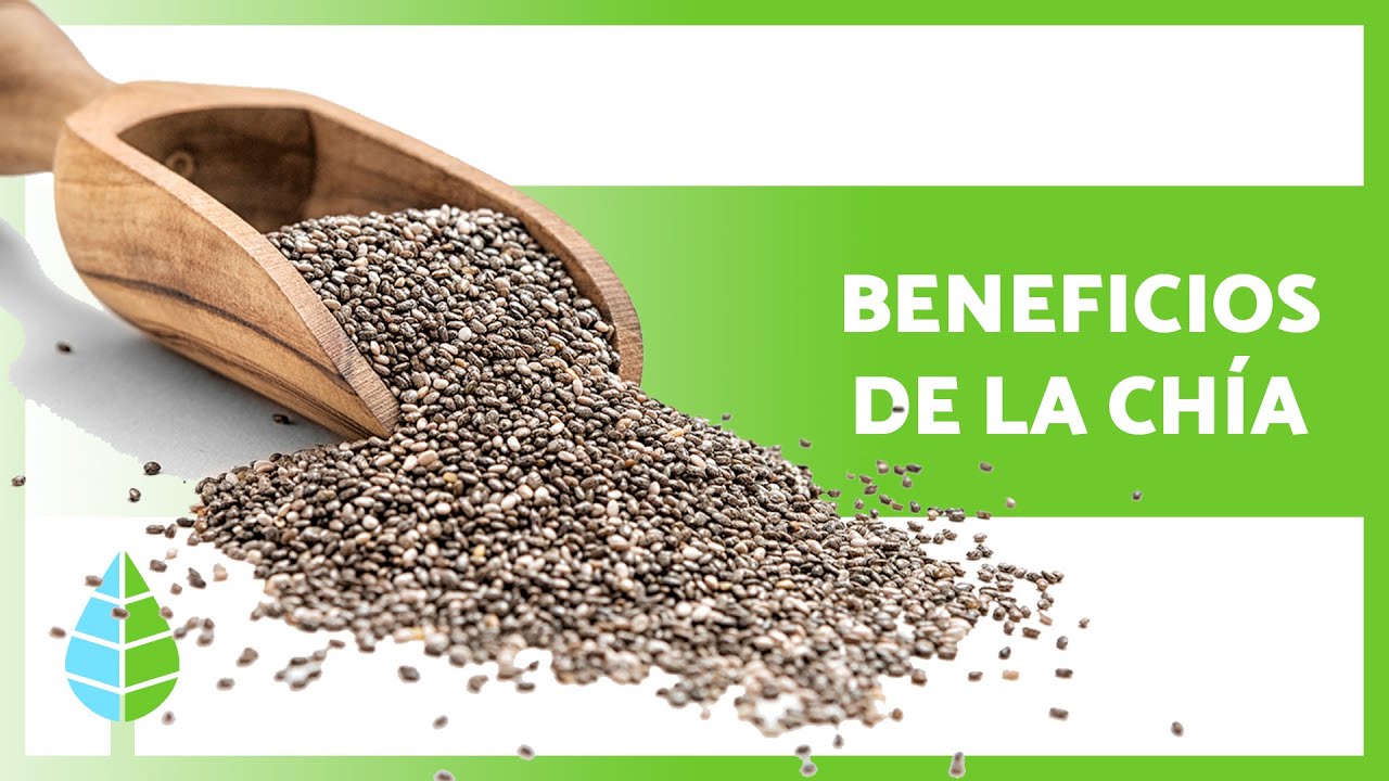 semillas de chia propiedades beneficios y contraindicaciones