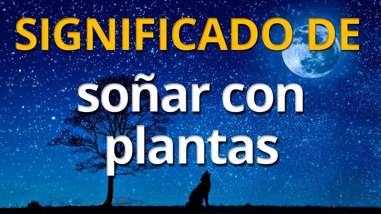 soñar con plantas verdes y bonitas