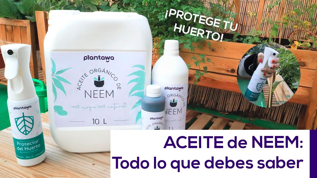 aceite de neem mercadona para plantas