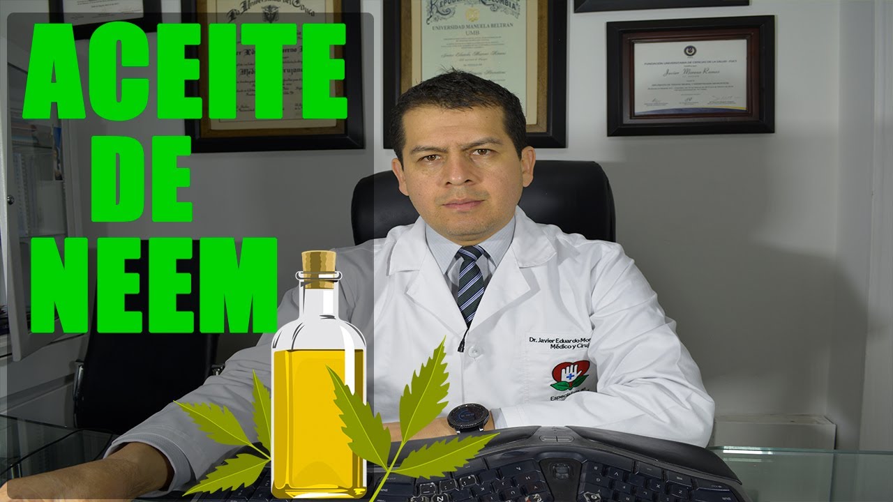 aceite de neem para hongos en plantas