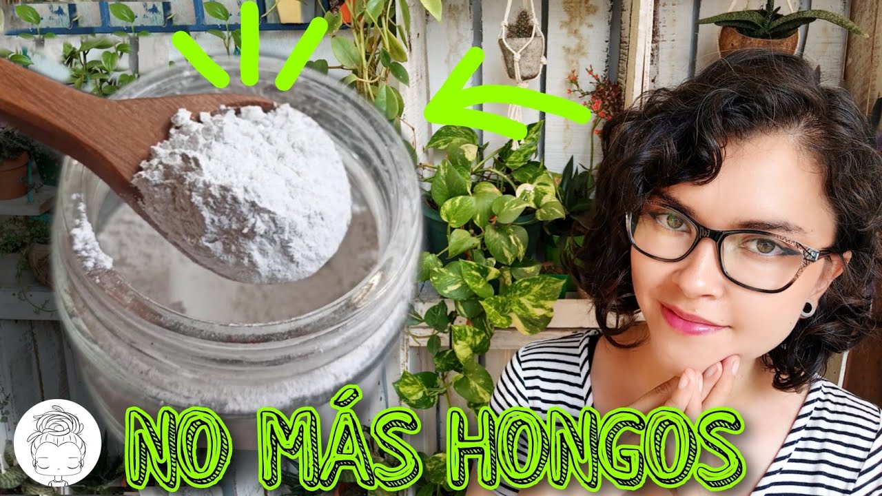 agua con cal para las plantas