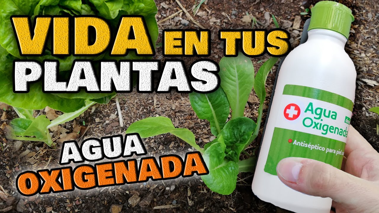 agua oxigenada para regar las plantas