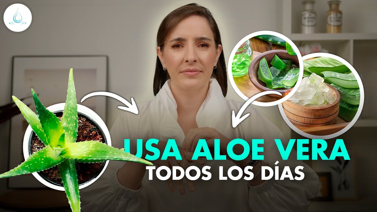 aloe vera planta natural para la cara