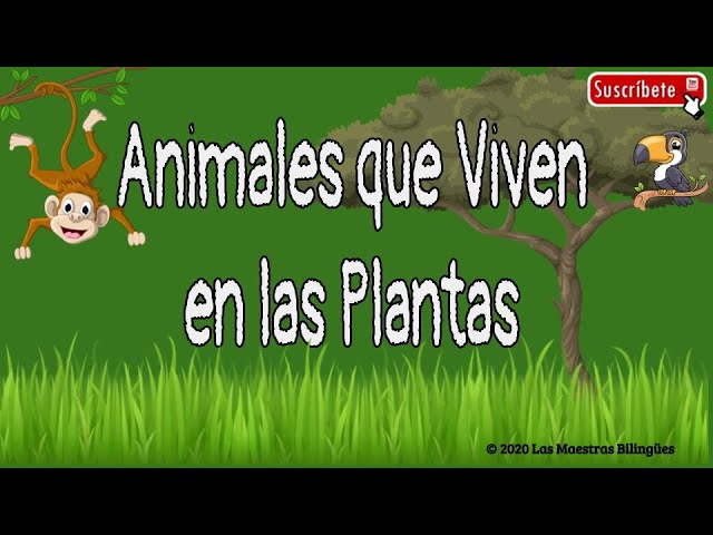 animales que viven en las plantas