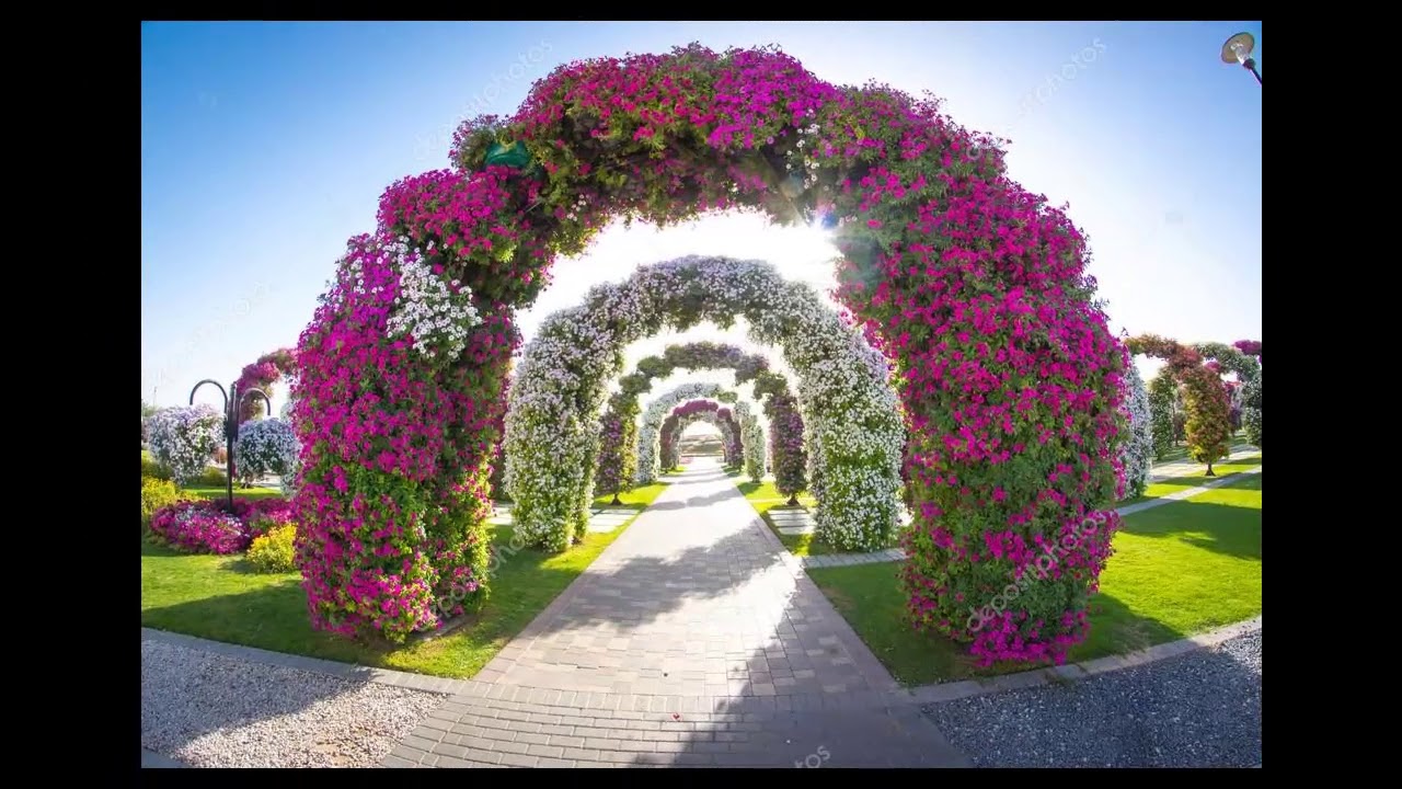 arcos de flores naturales en jardines