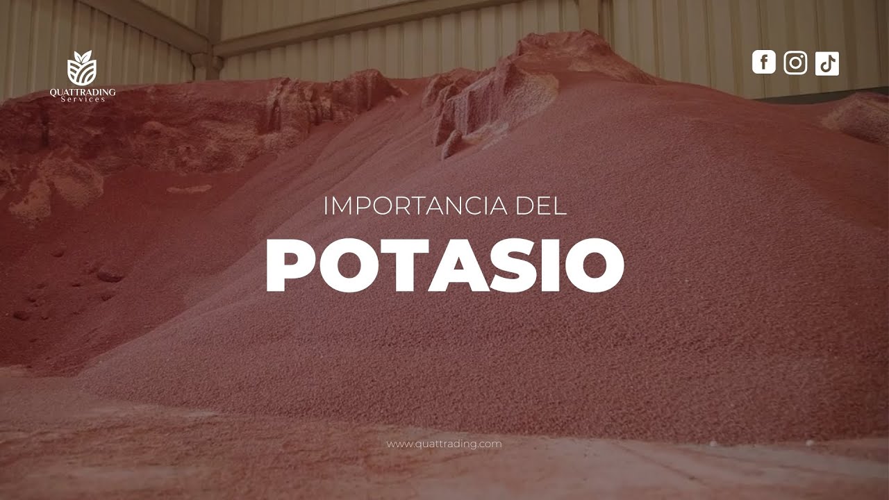 beneficios del potasio en las plantas