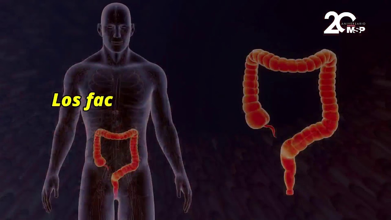 bilambil flora intestinal para que sirve