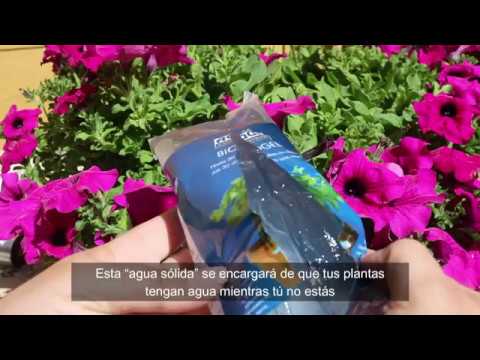 biogel agua sólida para las plantas