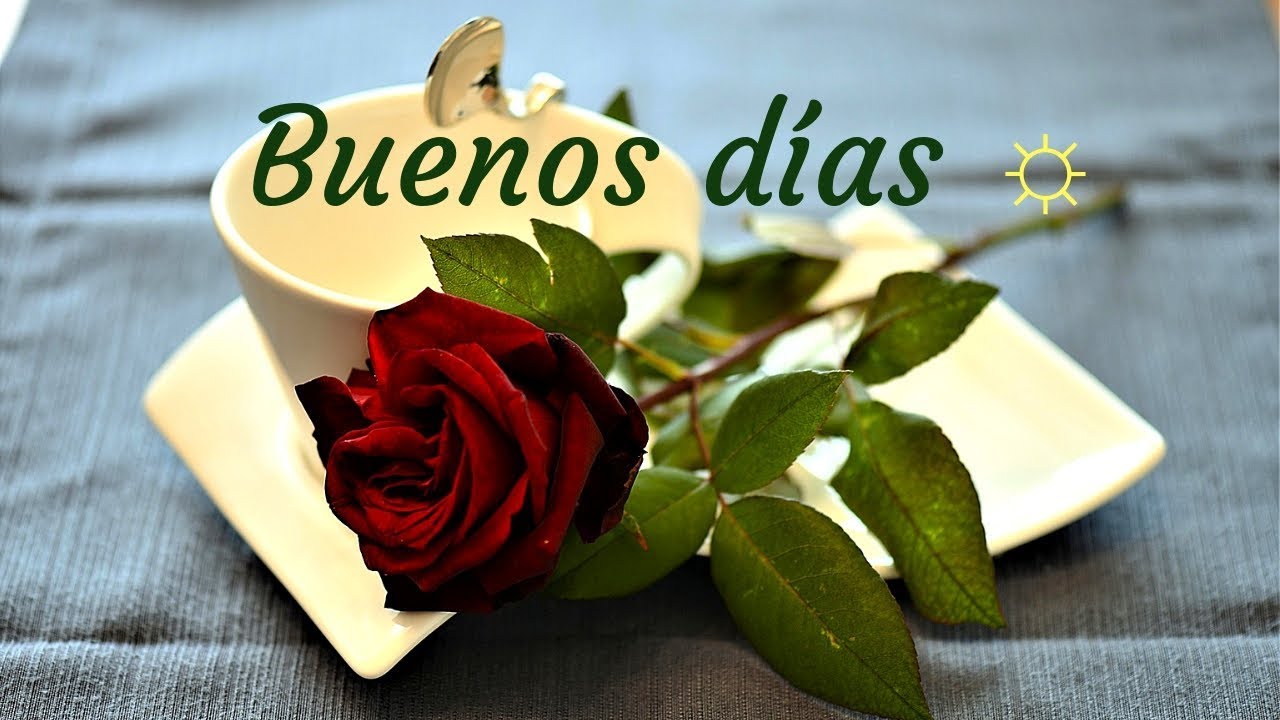 buenos días con flores de primavera
