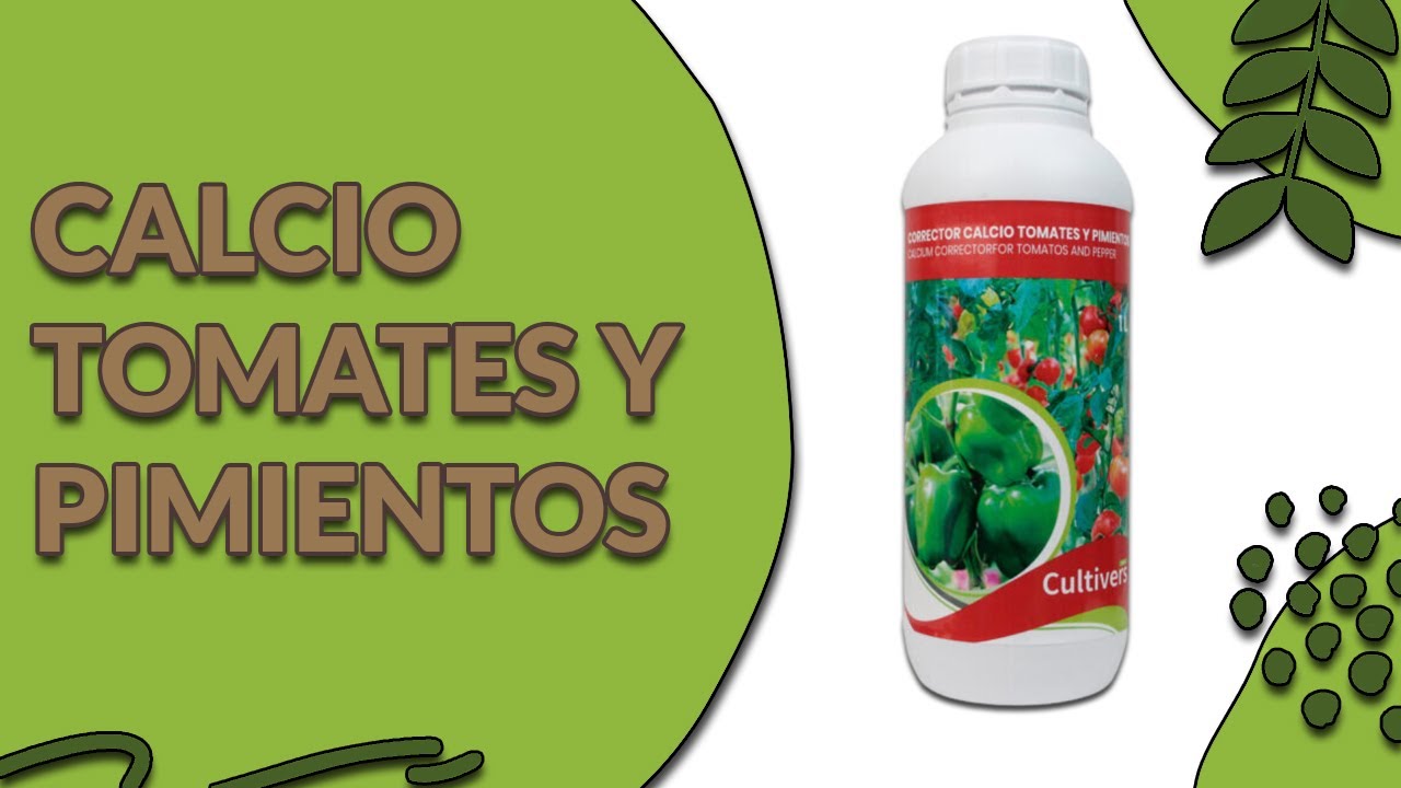 calcio para las plantas de tomates