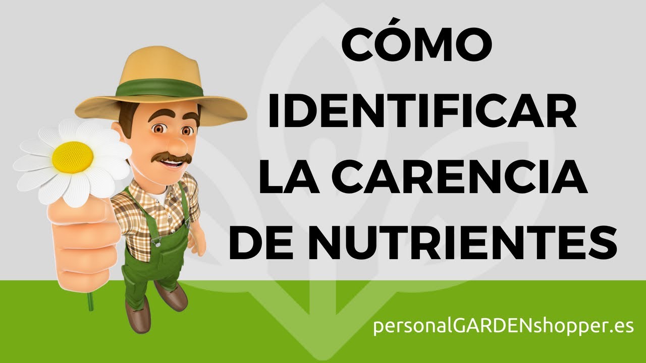 carencias y excesos de nutrientes en plantas