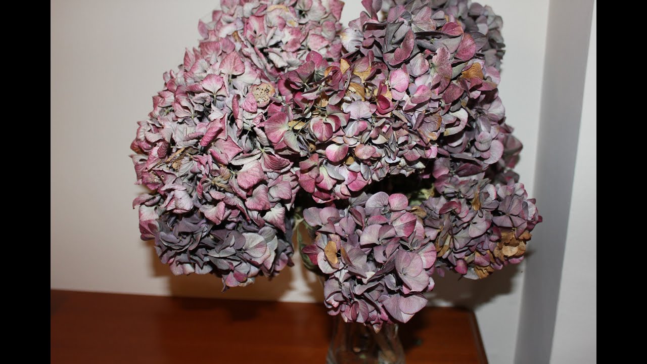 centros de flores secas el corte ingles