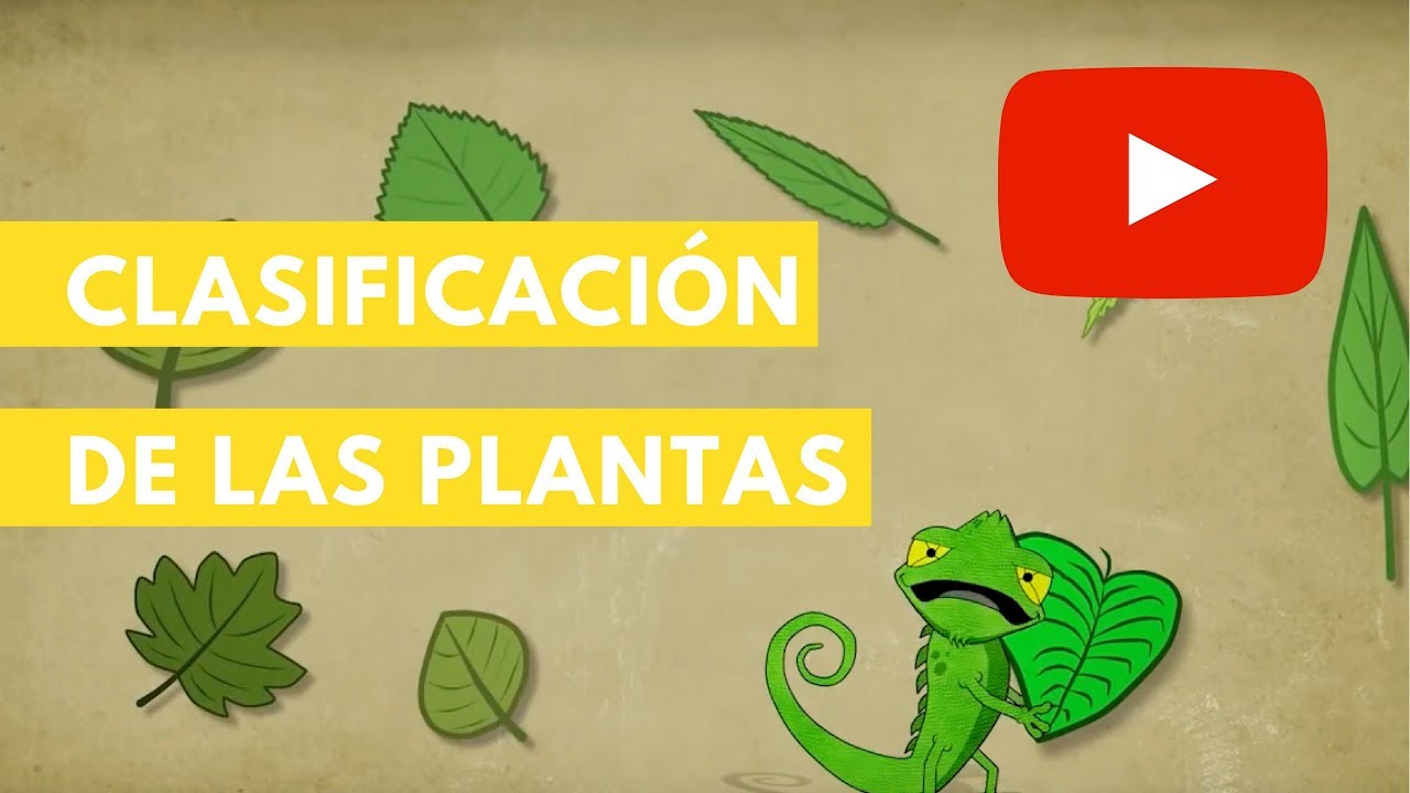 clasificacion de plantas segun su tallo
