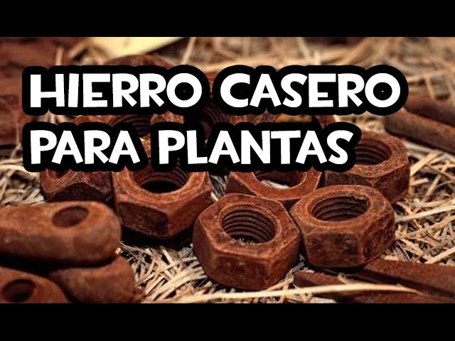 como aportar hierro a las plantas de forma casera
