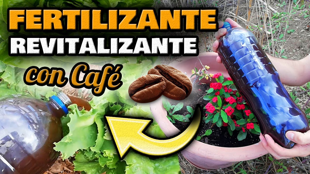 como aportar nitrogeno a las plantas