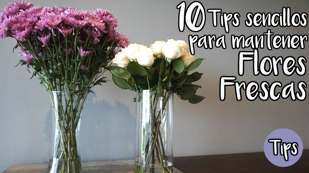 como conservar un ramo de flores en agua