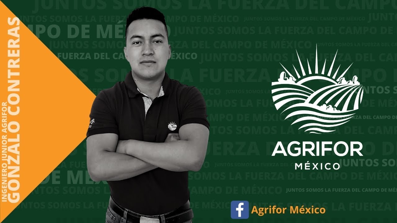 como eliminar el exceso de nitrogeno en las plantas